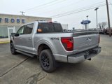 New 2025 Ford F150 XLT w/ Equipment Group 302A MID image 3