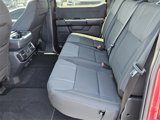 Used 2024 Ford F150 STX w/ STX Black Appearance Package image 5