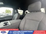 Certified 2023 Ford F150 XL w/ XL STX Apperance Package image 3