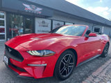 Used 2022 Ford Mustang Premium image 2
