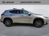 Used 2025 Lexus NX 350h AWD w/ Premium Package image 4