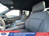 New 2025 Ford F150 XLT w/ Equipment Group 302A MID image 4