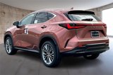 New 2026 Lexus NX 350 AWD w/ Premium Package image 3