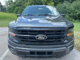 New 2025 Ford F150 XLT image 6