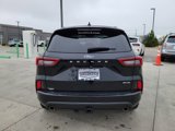 Certified 2024 Ford Escape ST-Line Elite w/ Premium Technology Package image 4