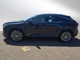New 2025 Lexus RX 350 Premium Plus image 6