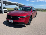Certified 2024 Honda Accord Sport image 3