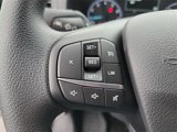 Used 2025 Ford Transit 250 Low Roof w/ Load Area Protection Package image 5