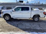 New 2025 Ford F150 XLT w/ Equipment Group 302A MID image 4