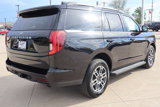 New 2025 Ford Expedition Active image 5