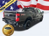 New 2025 Ford F350 4x4 Crew Cab Super Duty image 5