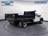 New 2025 Ford F450 XL w/ XL Chrome Package image 5