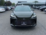 Used 2024 Lexus RX 350 Premium image 2