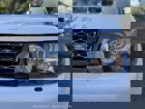 Used 2013 Land Rover Range Rover Sport HSE w/ Climate Comfort Pkg image 6