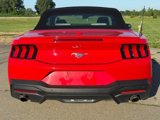 Certified 2024 Ford Mustang Premium image 4