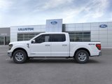 New 2025 Ford F150 XLT image 3