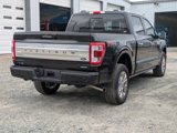 Certified 2023 Ford F150 Platinum w/ Equipment Group 701A High image 3