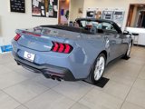 New 2025 Ford Mustang GT Premium image 4