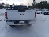 New 2025 Ford F150 XLT w/ Equipment Group 301A Standard image 5