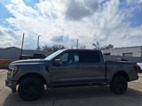 New 2025 Ford F150 Platinum w/ Equipment Group 702A High image 2