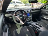 Used 2021 Ford Mustang Coupe w/ Equipment Group 101A image 4