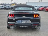 New 2025 Ford Mustang Premium image 6