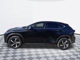Used 2021 Lexus NX 300h AWD w/ Premium Package image 4