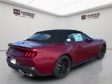 New 2025 Ford Mustang GT Premium image 3