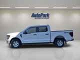 New 2025 Ford F150 XL w/ Equipment Group 103A High image 4