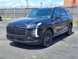 New 2025 Hyundai Palisade Calligraphy image 3