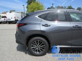 Used 2024 Lexus NX 250 AWD image 4