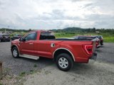 Used 2023 Ford F150 XLT w/ Equipment Group 301A Mid image 5