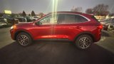 New 2025 Ford Escape SE w/ PHEV Premium Package image 5