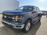 New 2025 Ford F150 XLT w/ Equipment Group 302A MID image 5