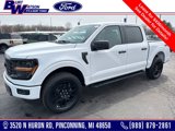New 2025 Ford F150 STX w/ STX Black Appearance Package image 1