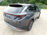 New 2025 Hyundai Tucson Limited image 5