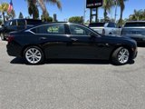 New 2025 Cadillac CT5 Premium Luxury w/ Sun And Sound Package image 3