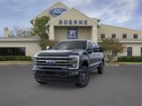 New 2025 Ford F250 Platinum image 2