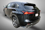 Used 2020 Lexus NX 300 AWD w/ Premium Package image 4