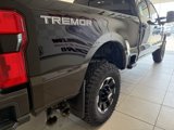 Used 2025 Ford F350 King Ranch w/ Tremor Off-Road Package image 6