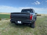 Used 2024 Ford F150 Raptor w/ Equipment Group 803A Raptor R image 5