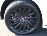 New 2025 Hyundai Palisade Calligraphy image 5