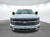 New 2025 Ford F150 XLT w/ Equipment Group 303A High image 2