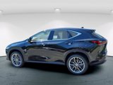 New 2026 Lexus NX 350 AWD w/ Premium Package image 6