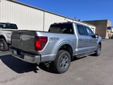New 2025 Ford F150 XLT w/ Equipment Group 302A MID image 5
