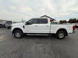 Used 2020 Ford F250 XLT w/ XLT Premium Package image 4