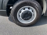 Used 2020 Ford Transit 250 Low Roof w/ Load Area Protection Package image 5