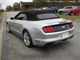 Used 2017 Ford Mustang Premium w/ Equipment Group 201A image 6