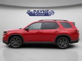 New 2025 Honda Pilot Sport image 2
