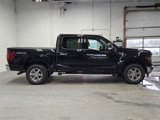 New 2025 Ford F150 XLT w/ Equipment Group 302A MID image 4